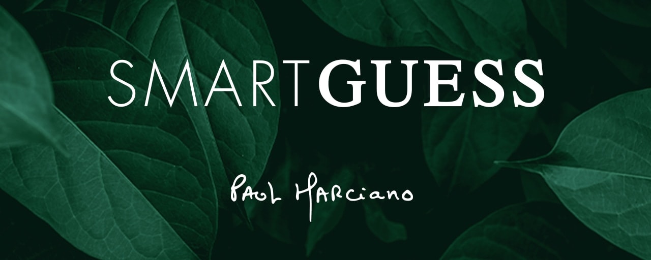 Smart guess jeans Clearance