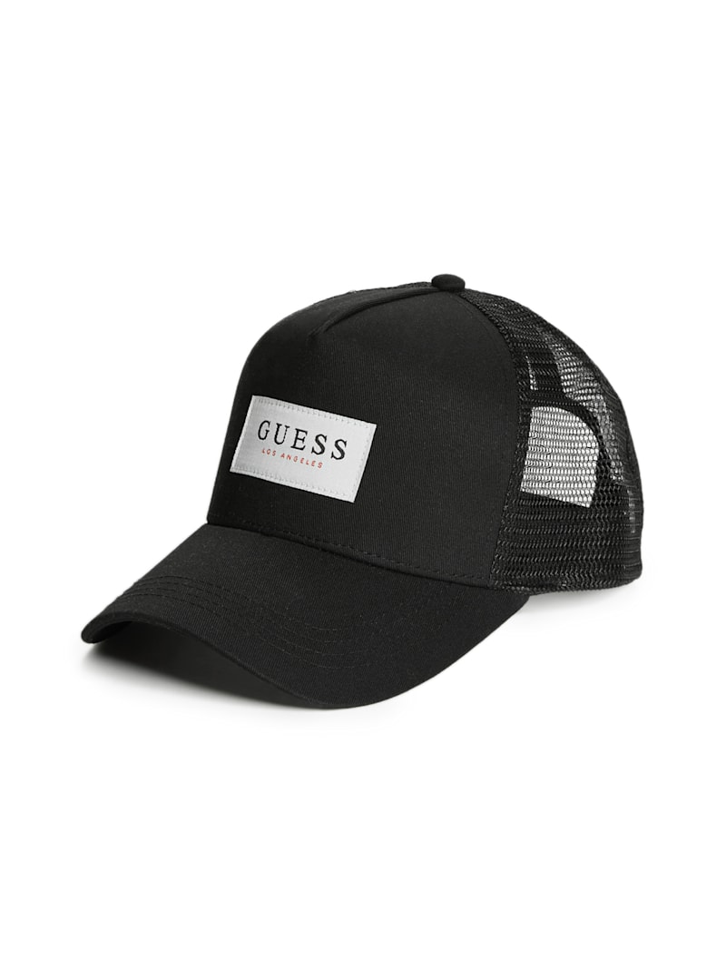 ハット Web Logo Mesh Cap [Black] WX Trucker Hat (Dark Clay/Black Logo) - Apparel | Wiley X