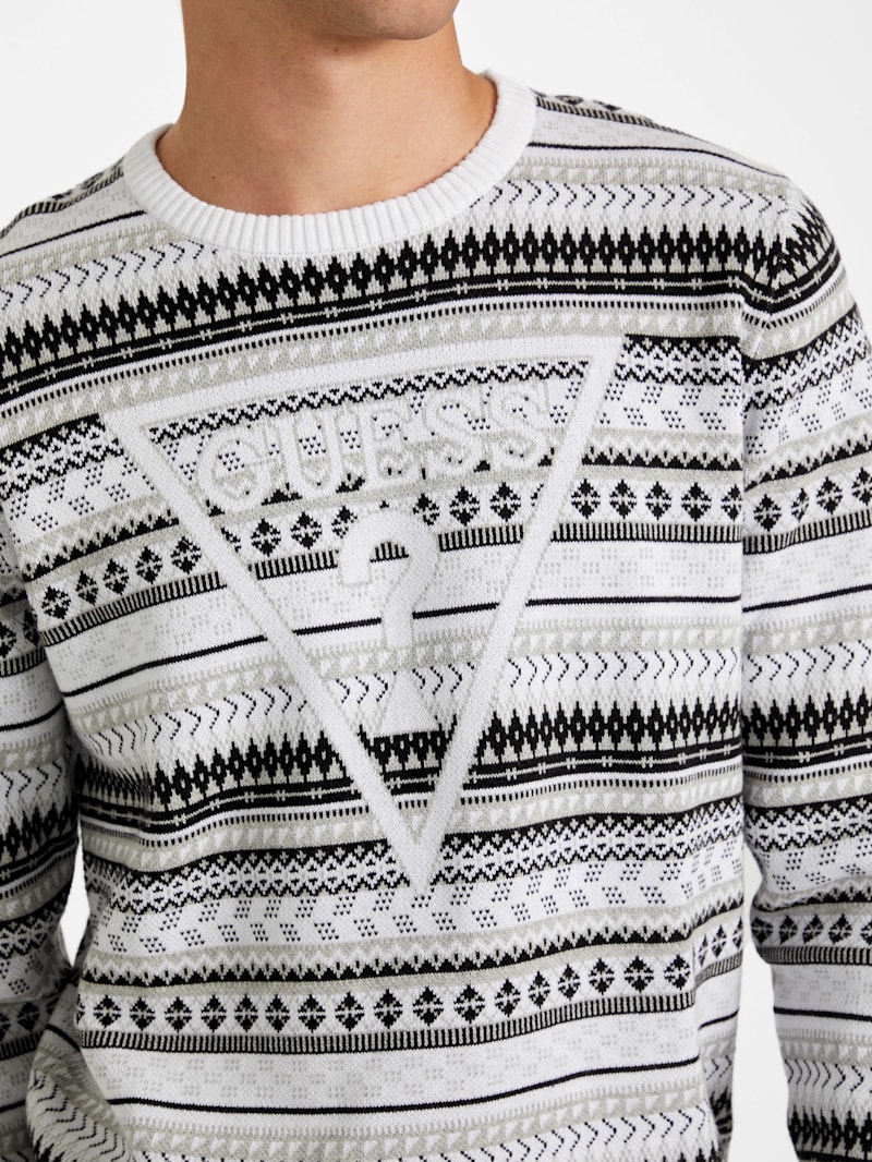 Arlo Crewneck Sweater | GUESS Factory Ca