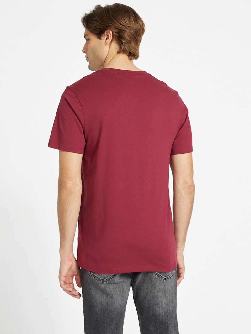 Brisa V-Neck Tee | GUESS Factory