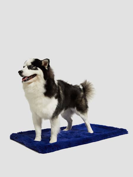 Faux-Fur Pet Carpet