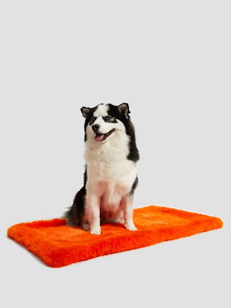 Faux-Fur Pet Carpet